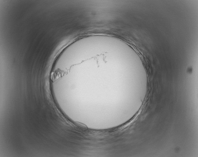 X0000116560293201001211228