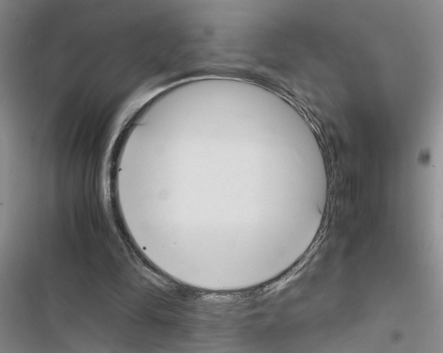 X0000116560294201001211228