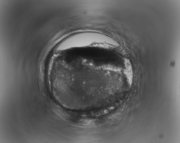 X0000116560295201001211228