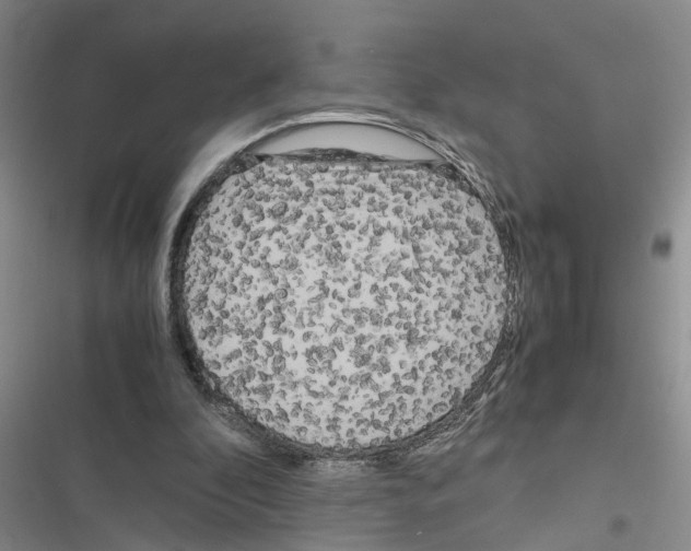 X0000116560296201001211228