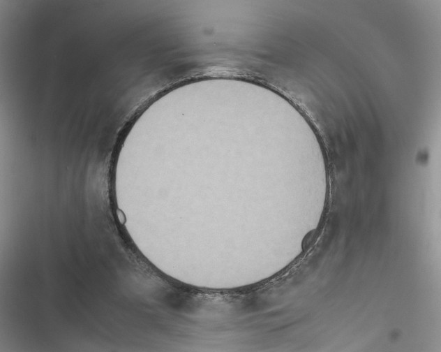 X0000116560297201001211228