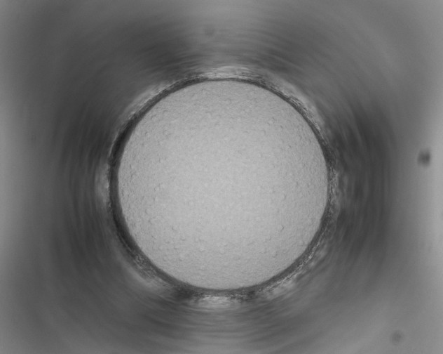 X0000116560298201001211228