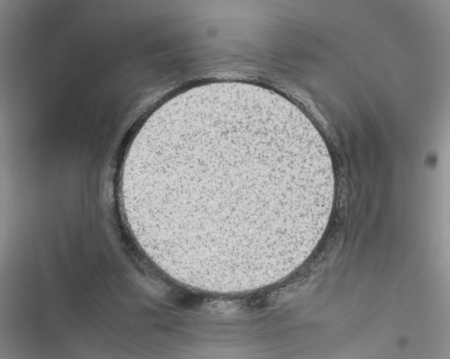 X0000116560299201001211228