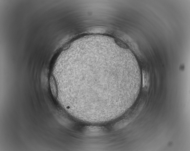X0000116560300201001211228