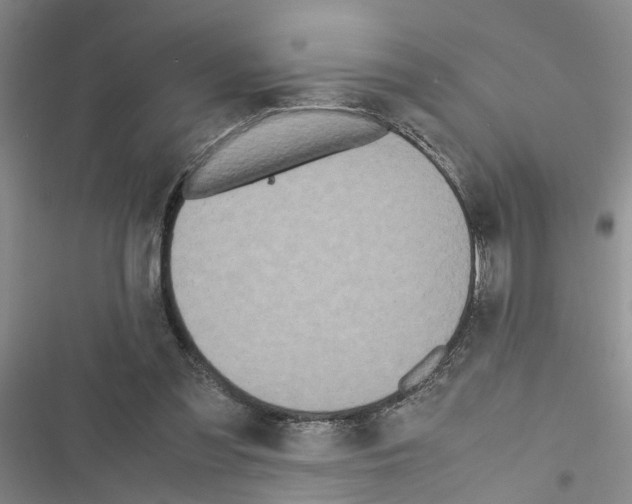 X0000116560301201001211228