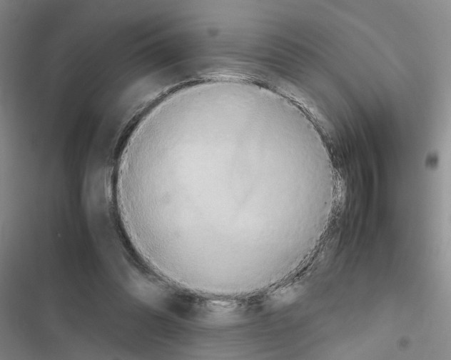 X0000116560302201001211228