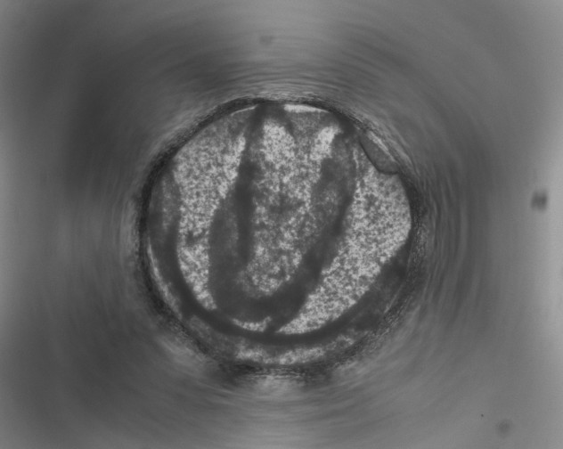 X0000116560303201001211228