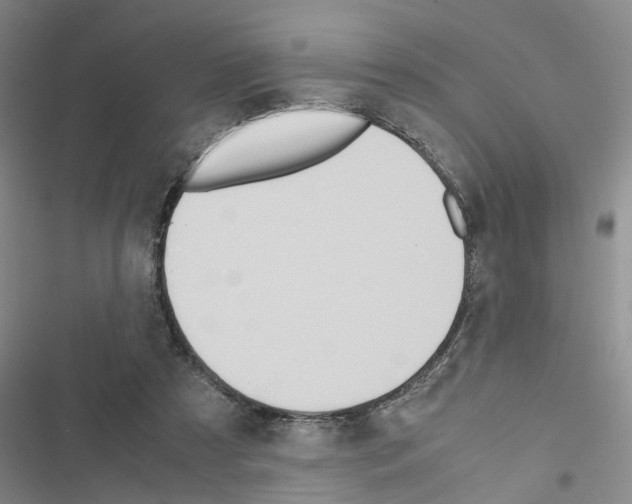 X0000116560305201001211228