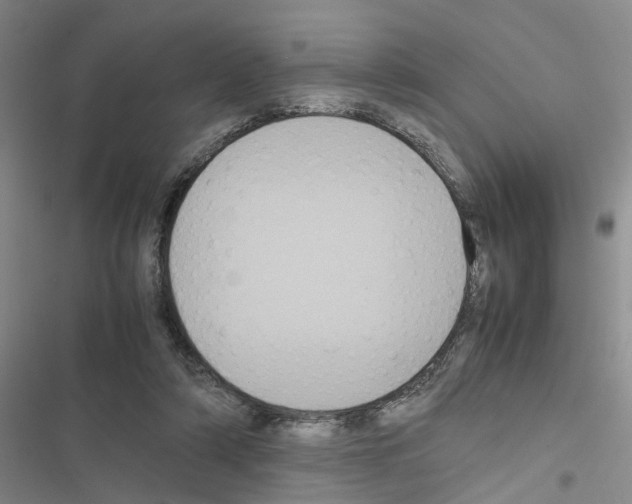 X0000116560306201001211228
