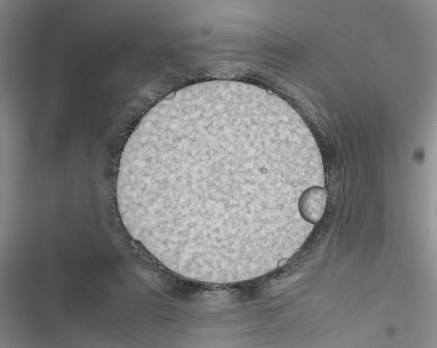 X0000116560307201001211228