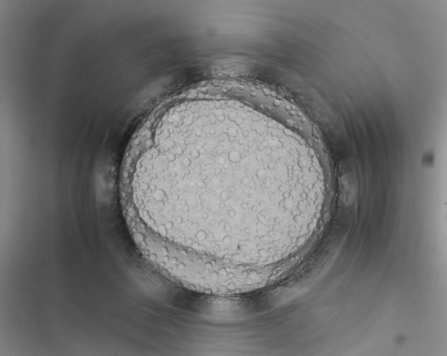 X0000116560308201001211228