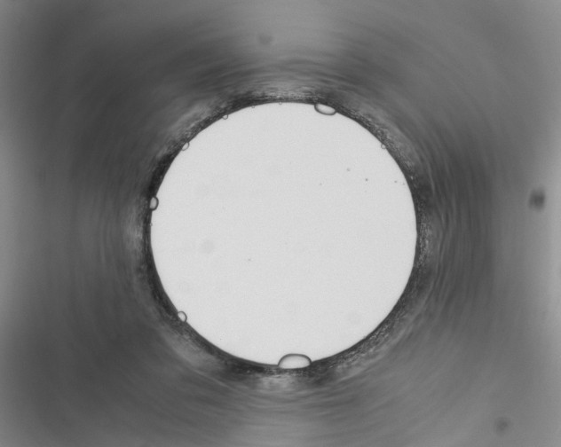 X0000116560309201001211228