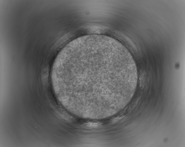 X0000116560314201001211228