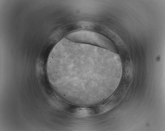 X0000116560316201001211228