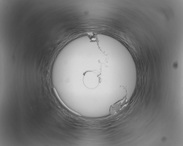 X0000116560317201001211228
