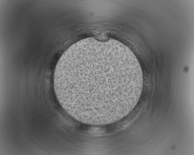 X0000116560319201001211228