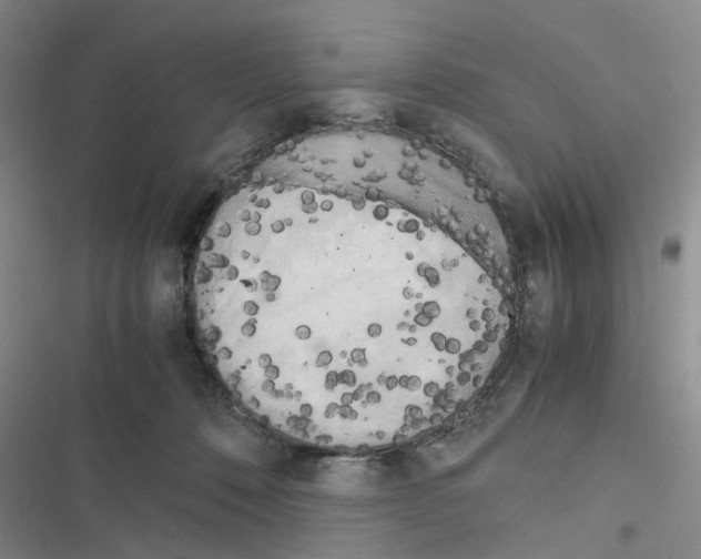 X0000116560320201001211228