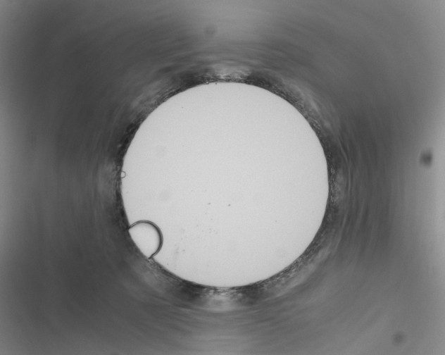 X0000116560321201001211228