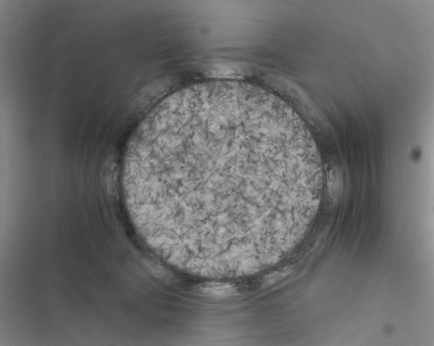 X0000116560322201001211228