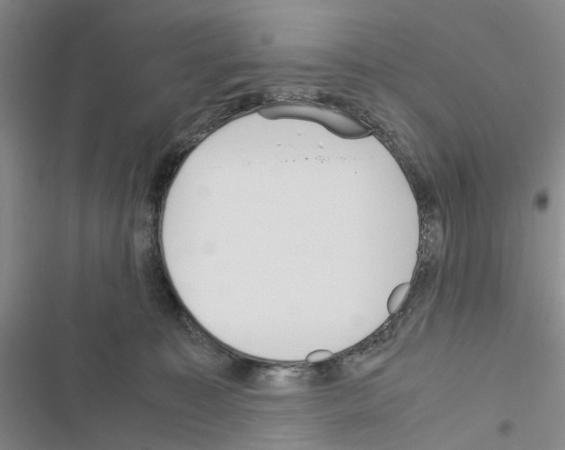 X0000116560323201001211228