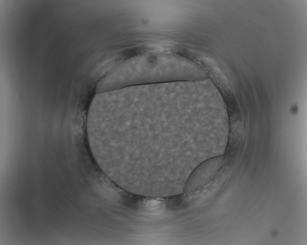 X0000116560325201001211228