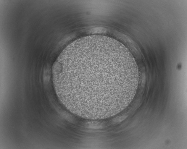 X0000116560326201001211228