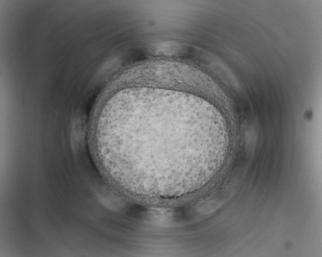 X0000116560328201001211228