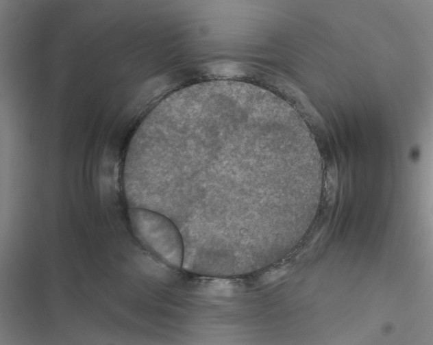 X0000116560330201001211228