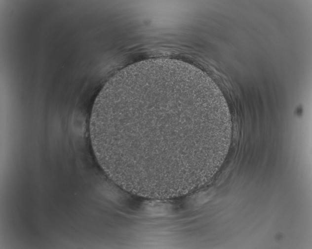 X0000116560331201001211228
