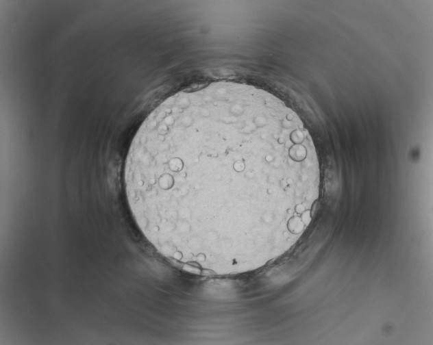 X0000116560332201001211228