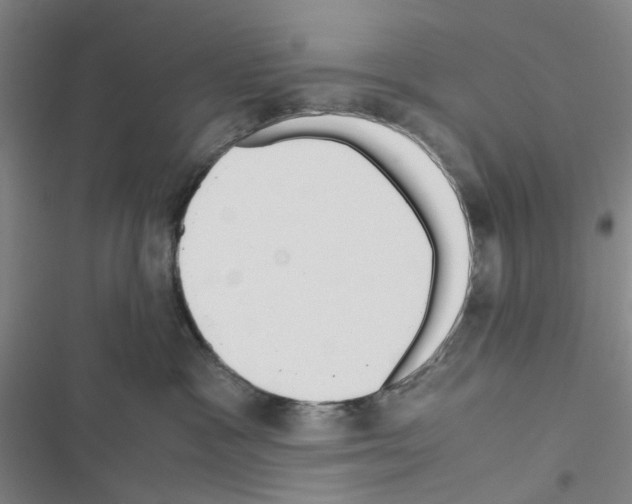 X0000116560333201001211228