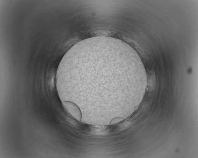 X0000116560334201001211228