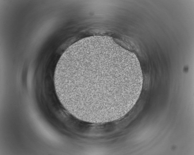 X0000116560335201001211228