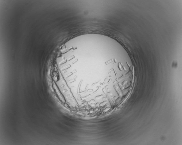 X0000116560336201001211228