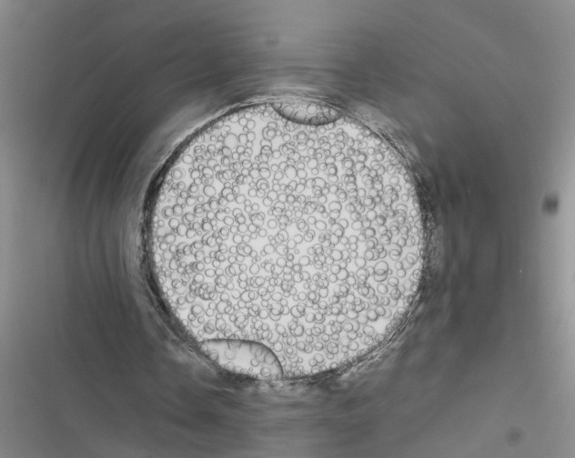 X0000116560338201001211227