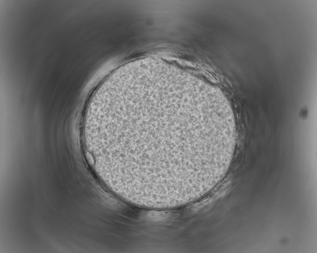 X0000116560341201001211227