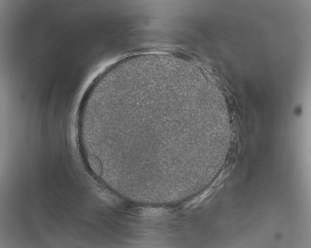 X0000116560342201001211227