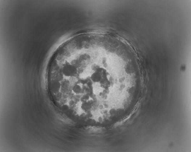 X0000116560343201001211227