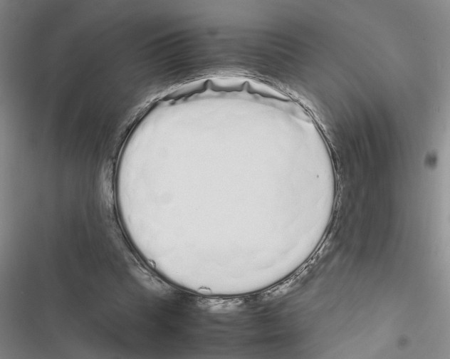 X0000116560345201001211227