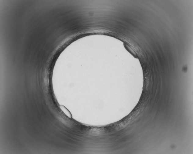 X0000116560350201001211227