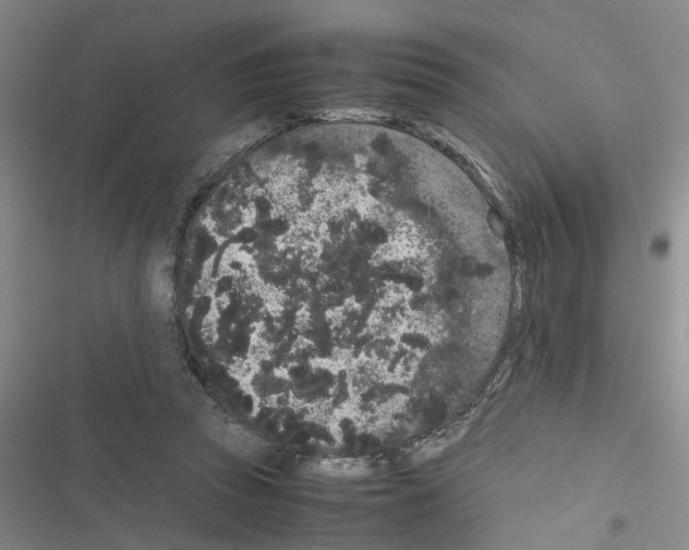 X0000116560353201001211227