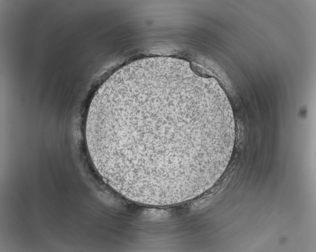 X0000116560354201001211227