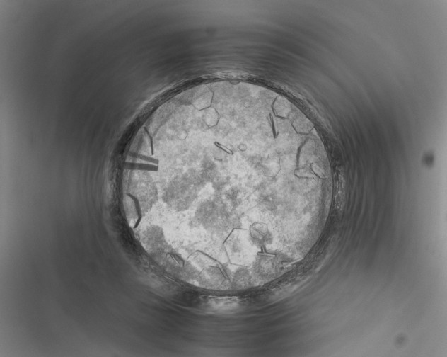 X0000116560355201001211227