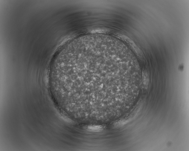 X0000116560357201001211227