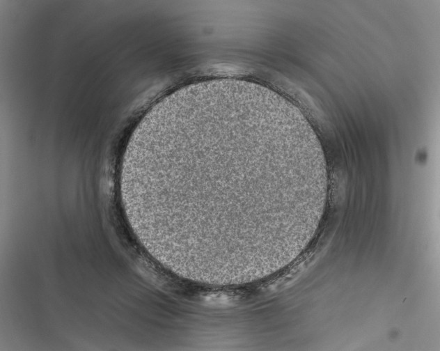 X0000116560358201001211227