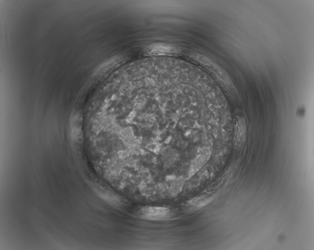 X0000116560361201001211227