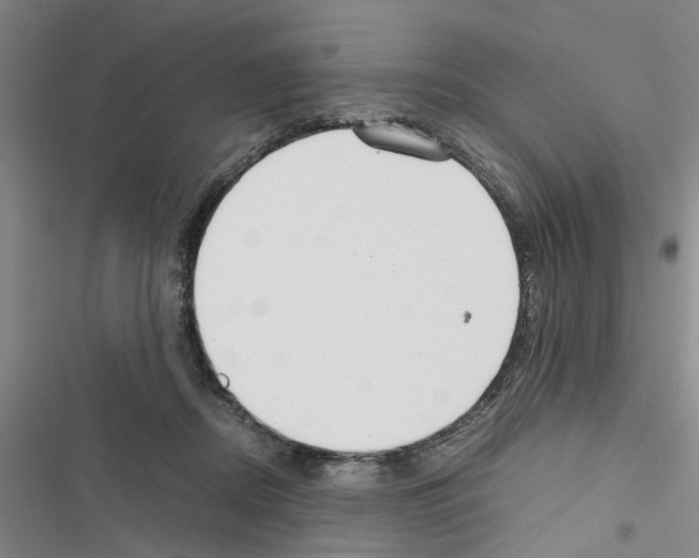 X0000116560362201001211227