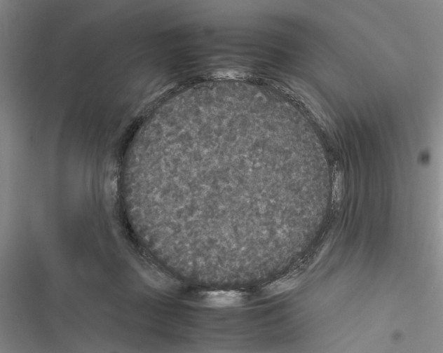 X0000116560363201001211227