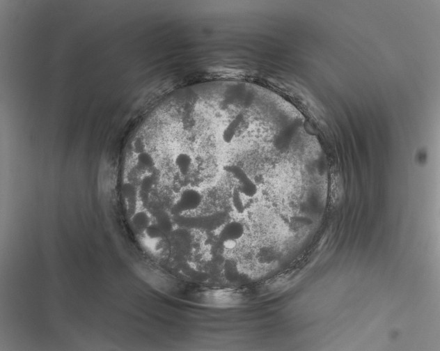 X0000116560365201001211227