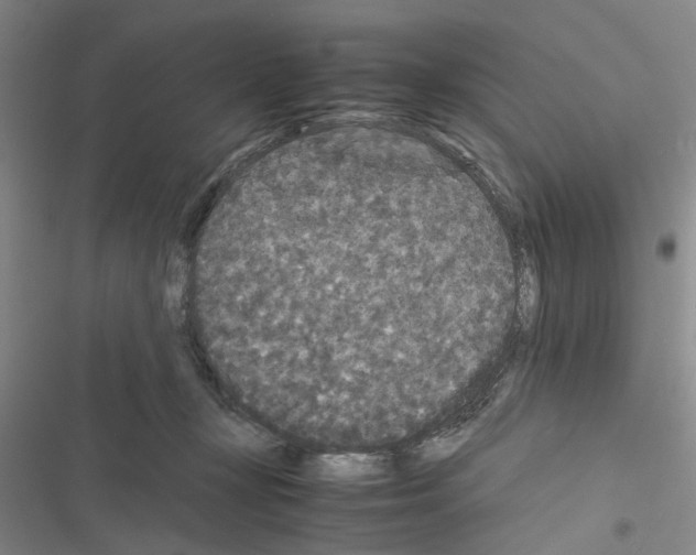 X0000116560367201001211227